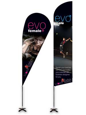Zoom_Grande_Large dreapeaux evo
