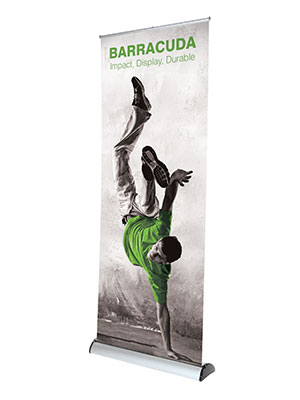 barracuda-face-large roll up barracuda